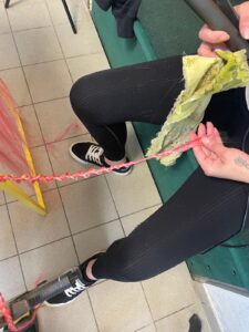 Školení výroba se a de setu